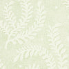 Etched Fern - Leaf Wallpapers