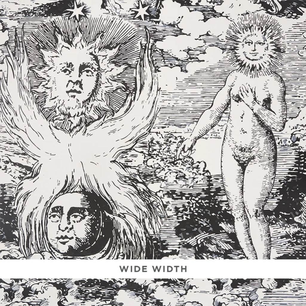 Modern Toile - Black Wallpapers