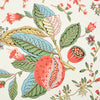 Pomegranate Botanical - Document Wallpapers