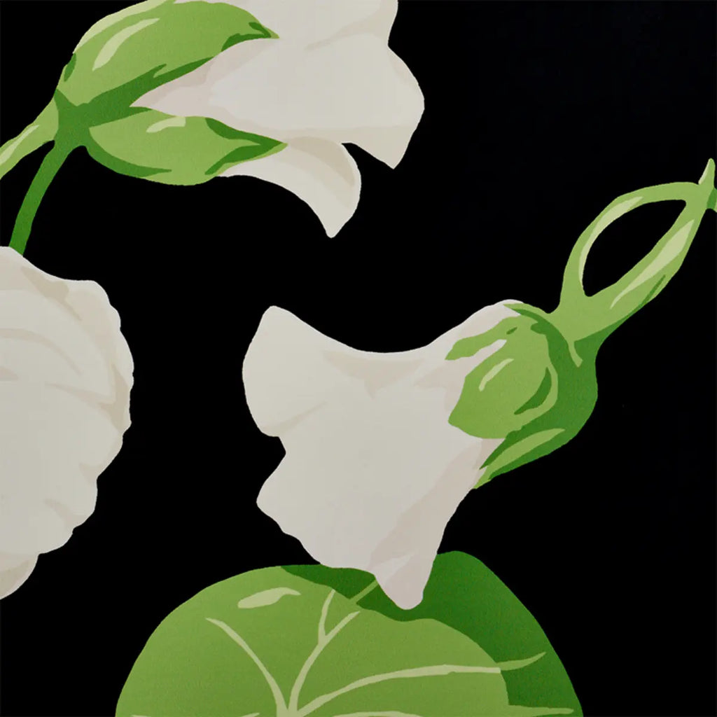 Nasturtium - Noir Wallpapers