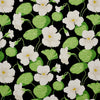 Nasturtium - Noir Wallpapers