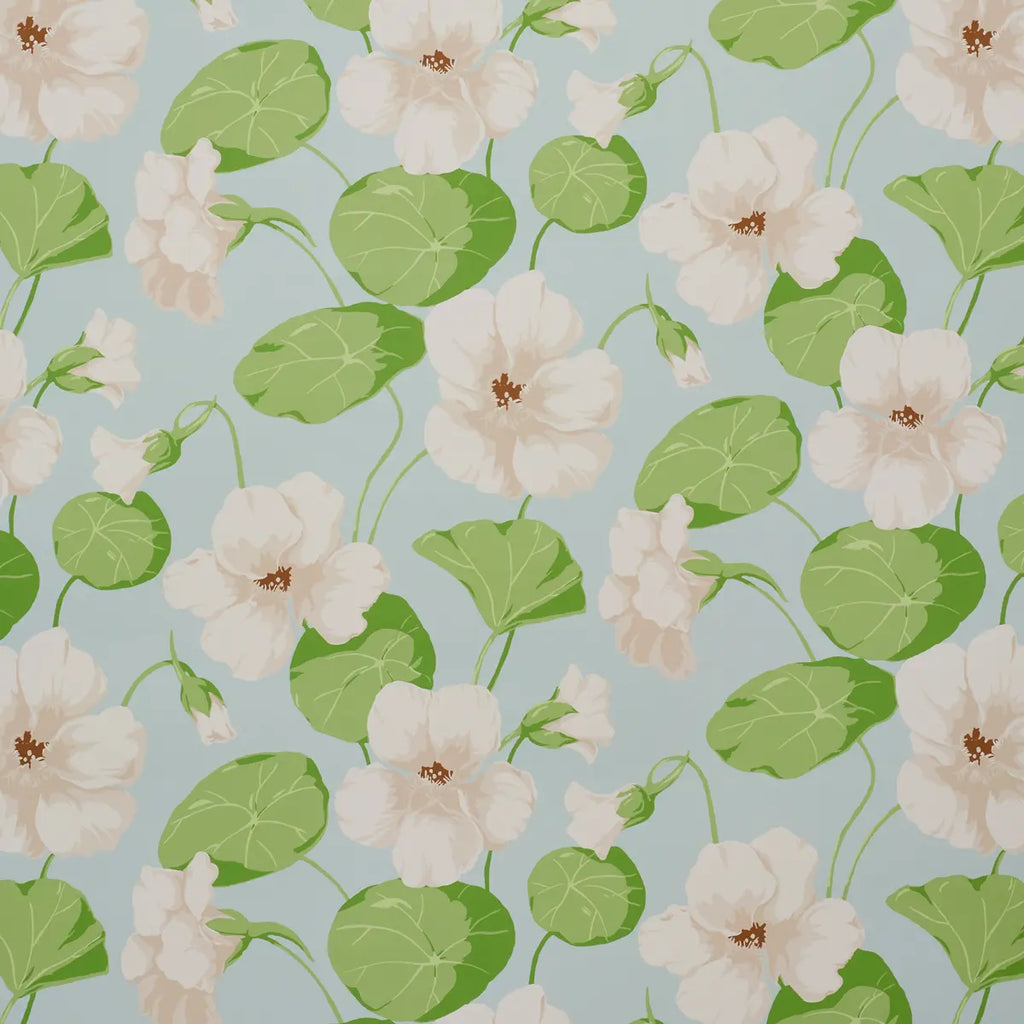 Nasturtium - Sky Wallpapers