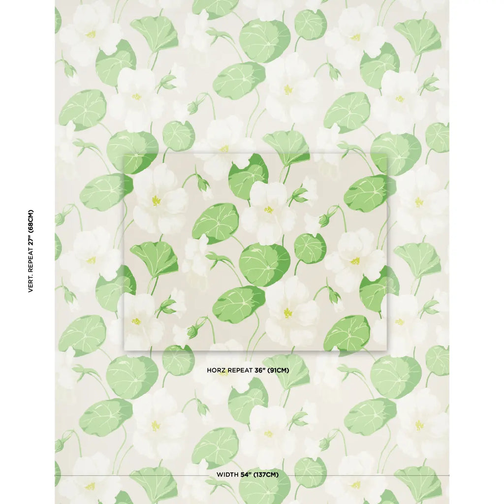 Nasturtium - Stone Wallpapers