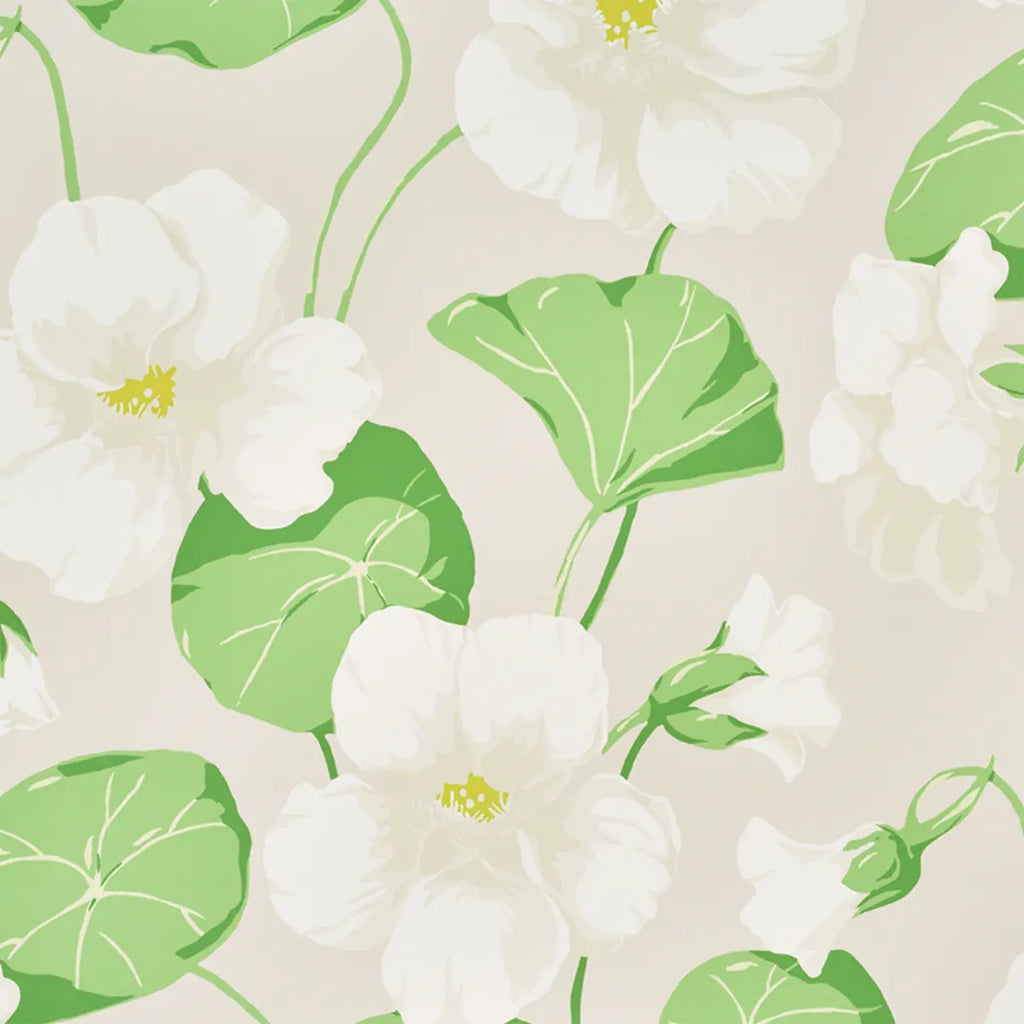 Nasturtium - Stone Wallpapers