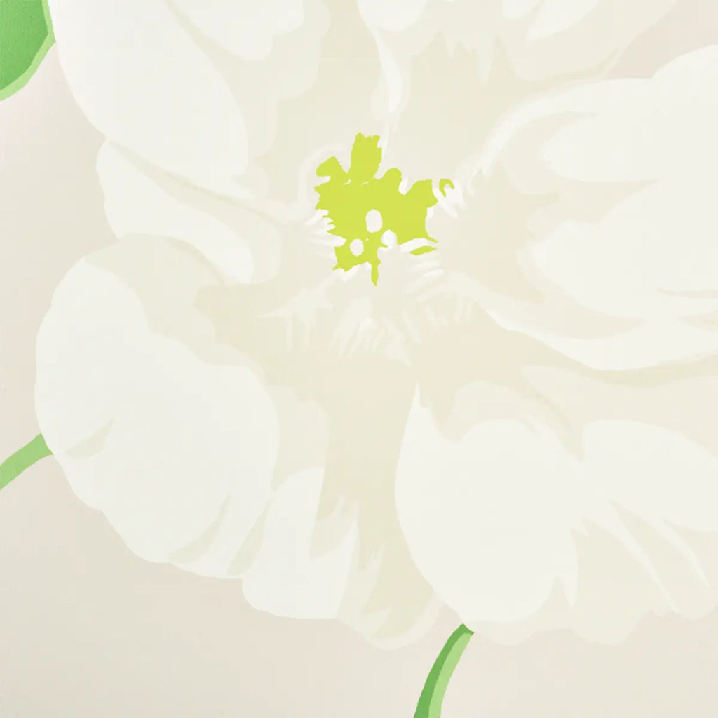 Nasturtium - Stone Wallpapers