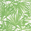 Sunlit Palm - Green Wallpapers