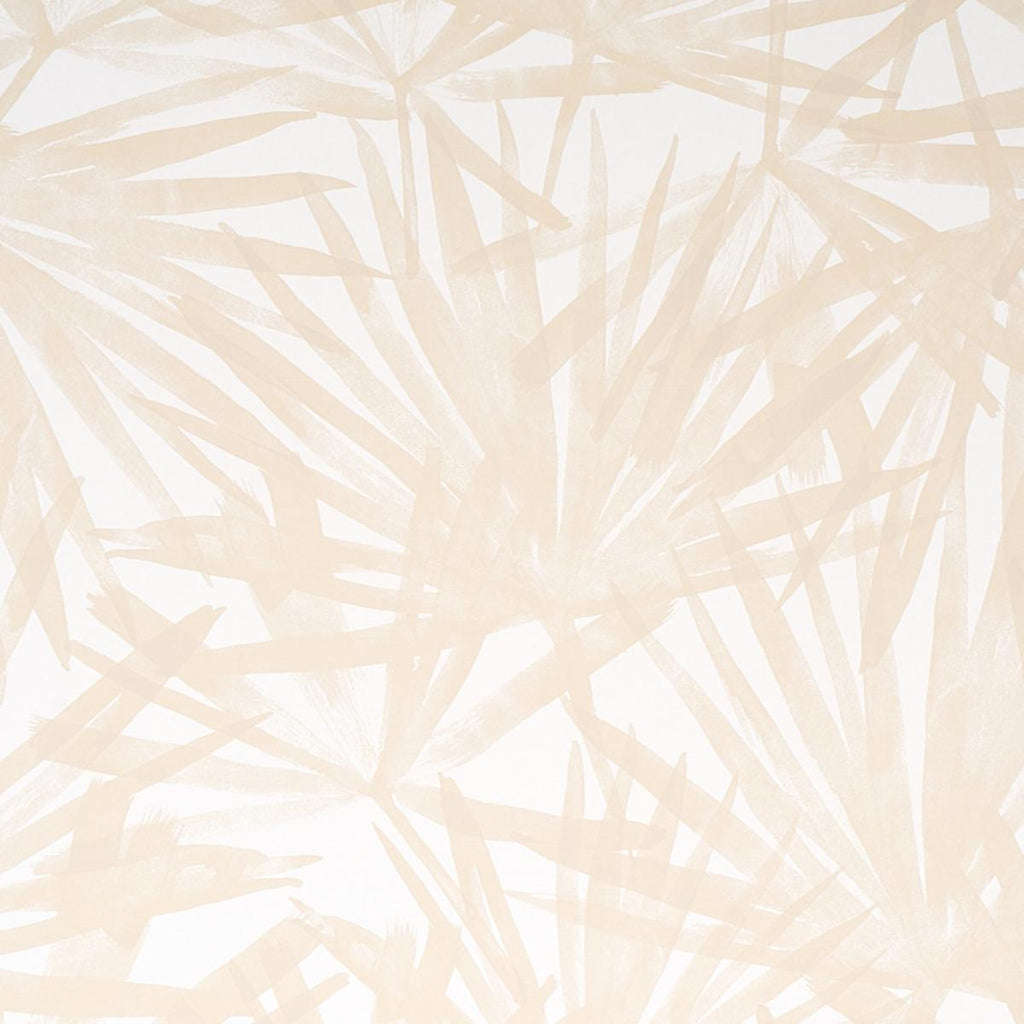 Sunlit Palm, Sand