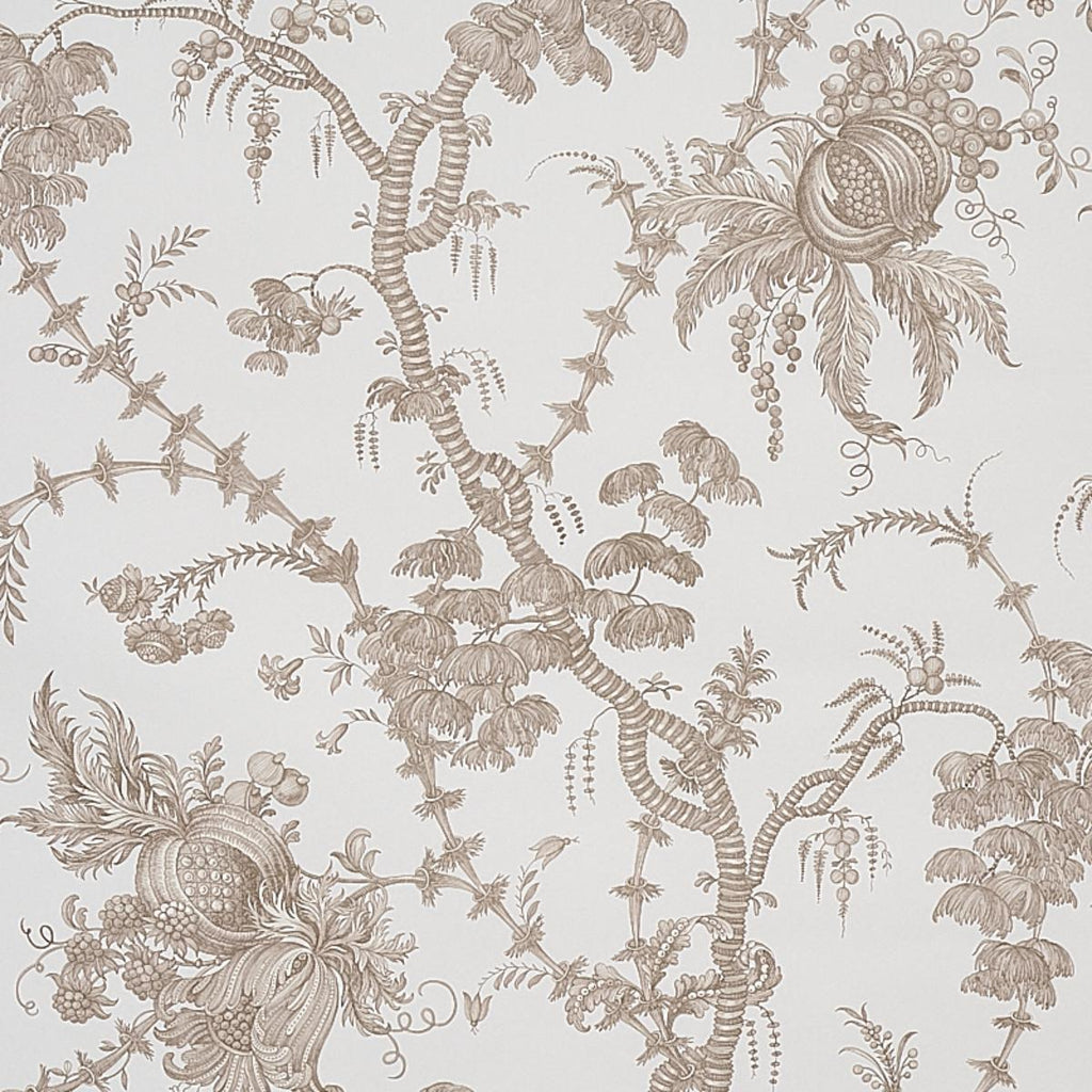 San Cristobal Toile, Ivory
