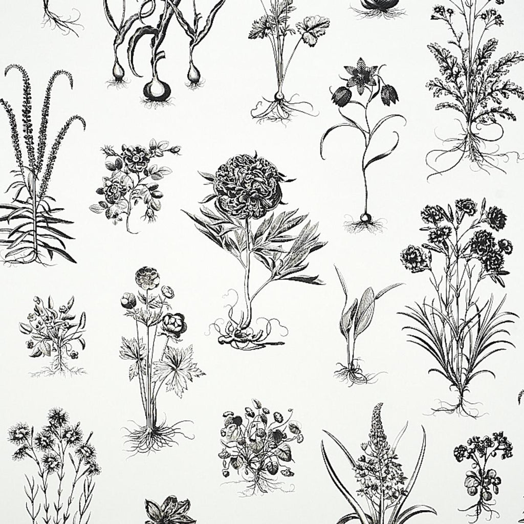 Cabot Botanical Large, Ivory