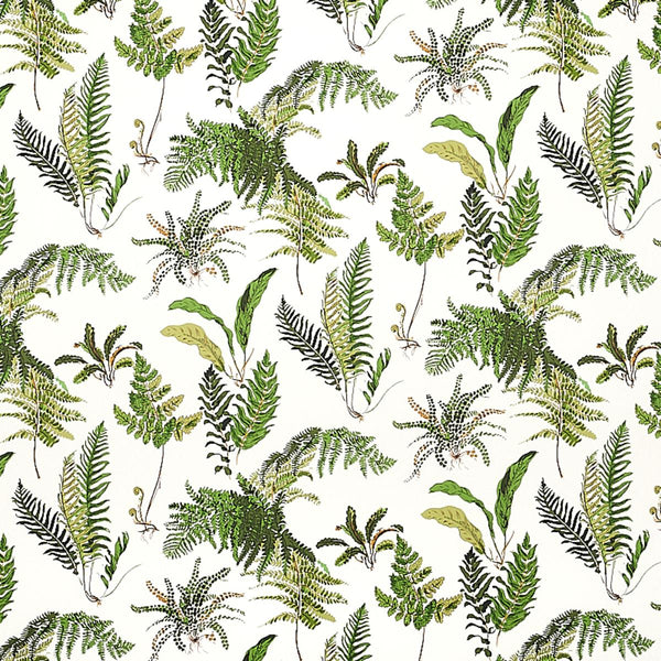 Les Fougeres, Document Wallcoverings | Schumacher
