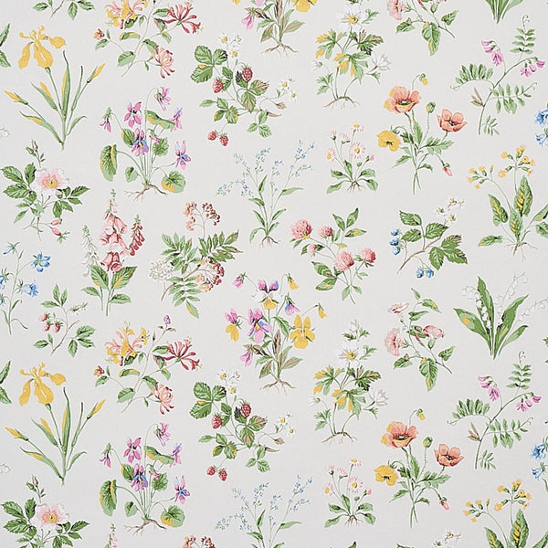 Floreana, Berry Wallcoverings | Schumacher