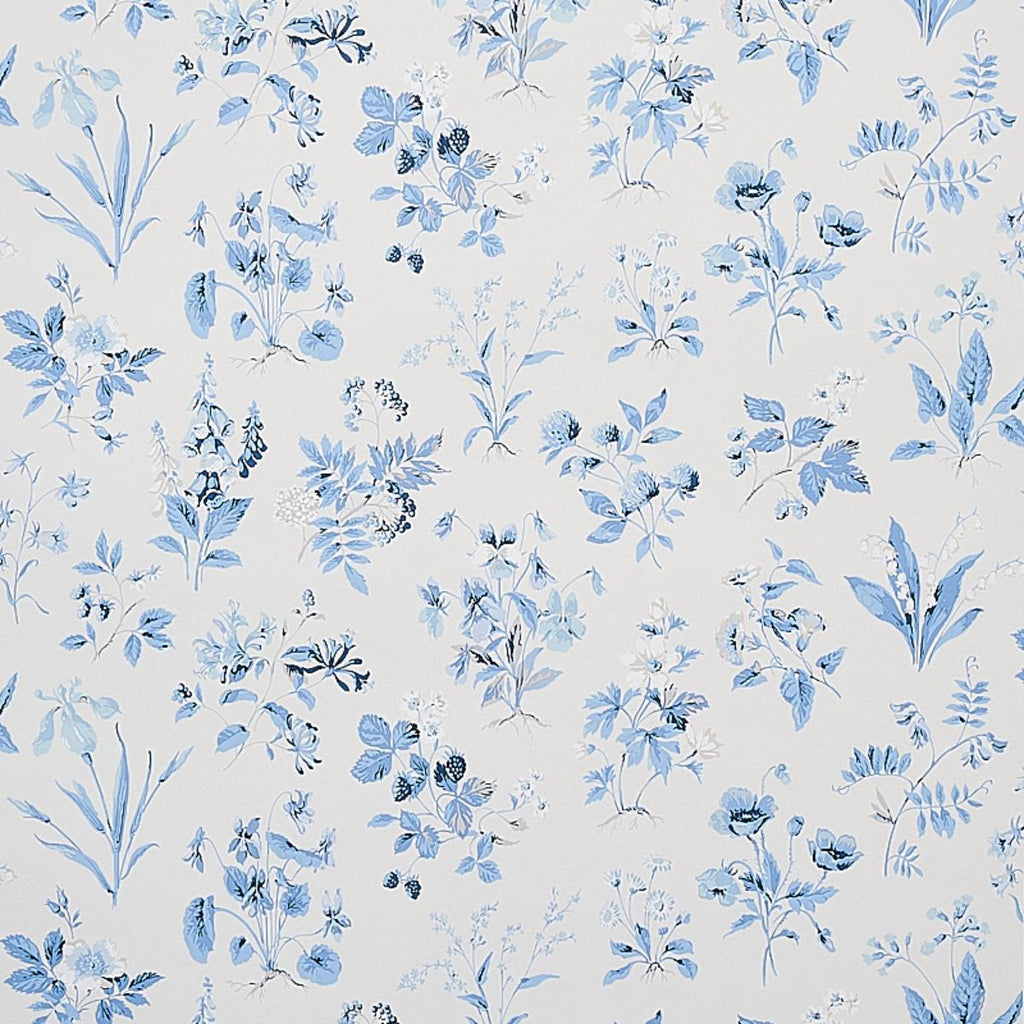 Floreana, Blue