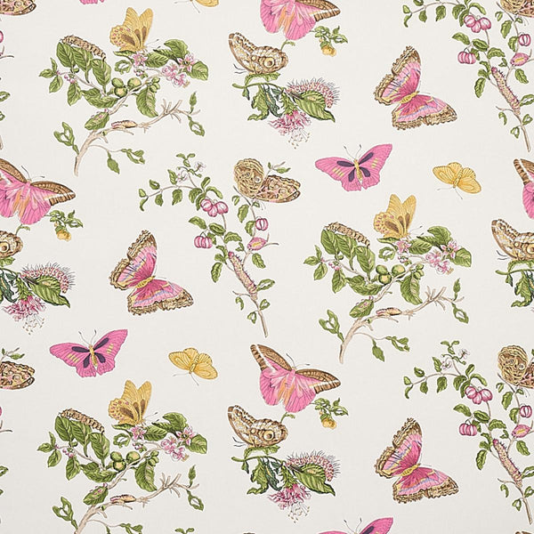 Baudin Butterfly, Blush Wallcoverings | Schumacher