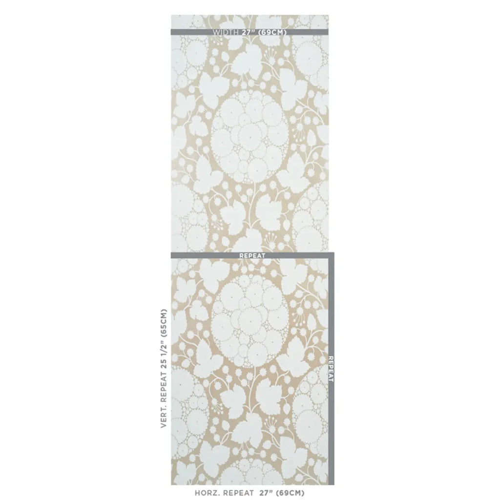 Marianne - Champagne Wallpapers