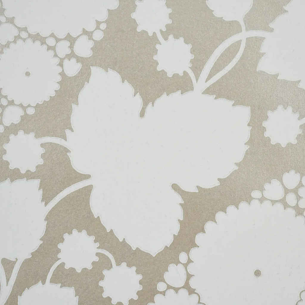 Marianne - Champagne Wallpapers