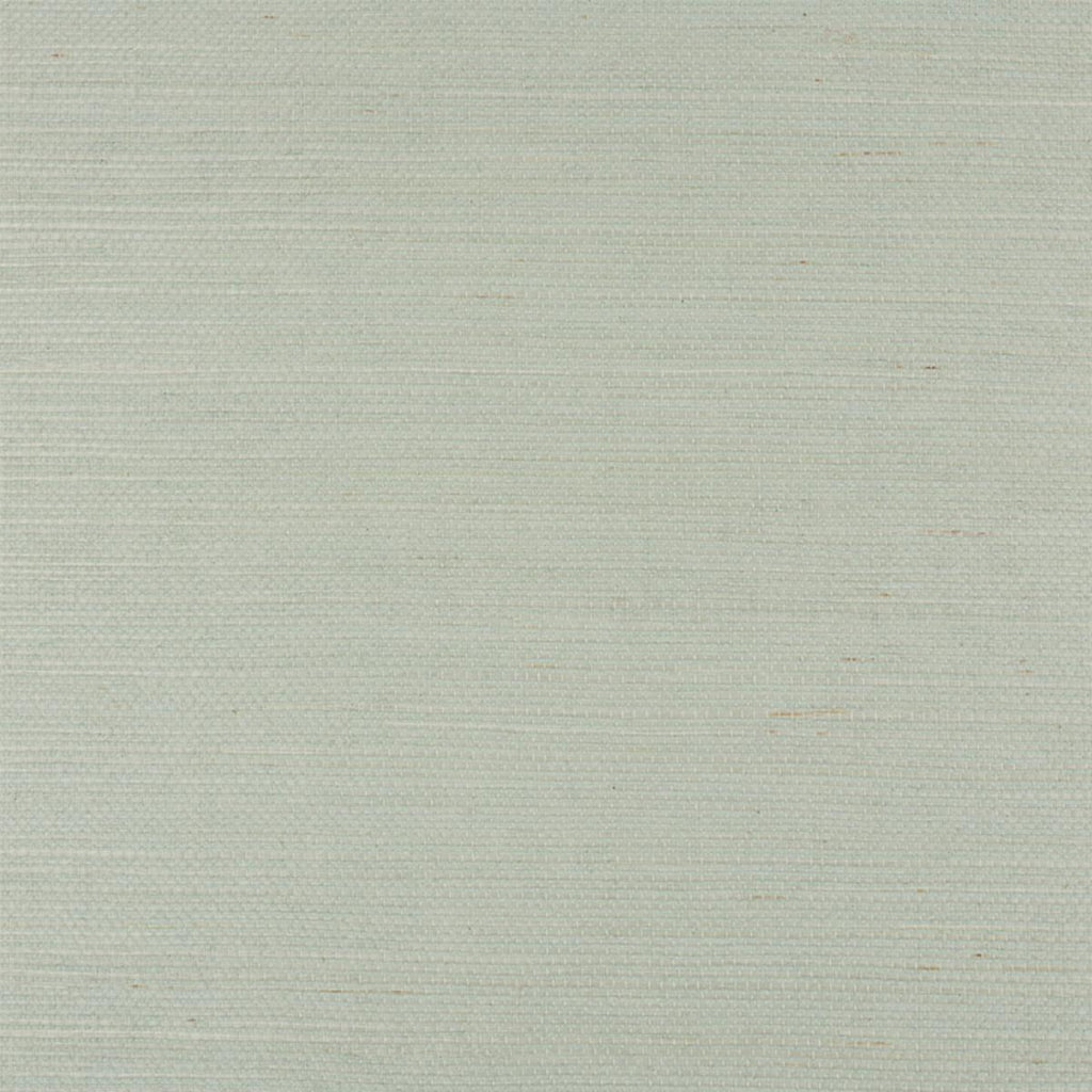 Haruki Sisal, Aloe