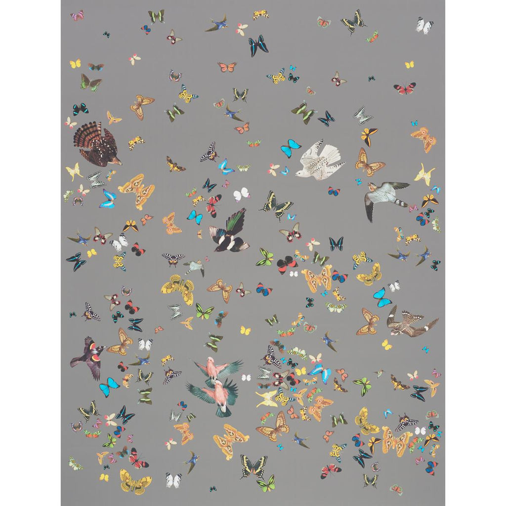 Queen's Flight Panel Set, Grey