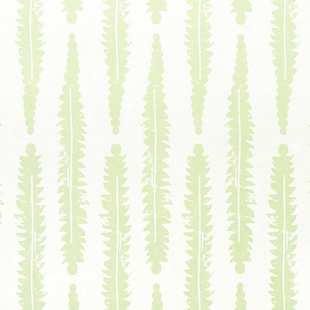 Fern, Sage