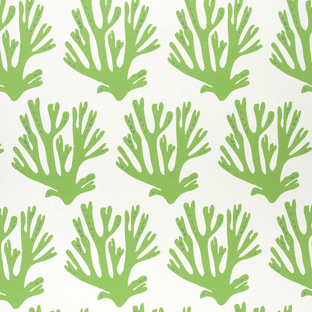 Coral, Green