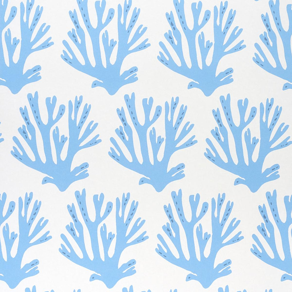 Coral, Blue