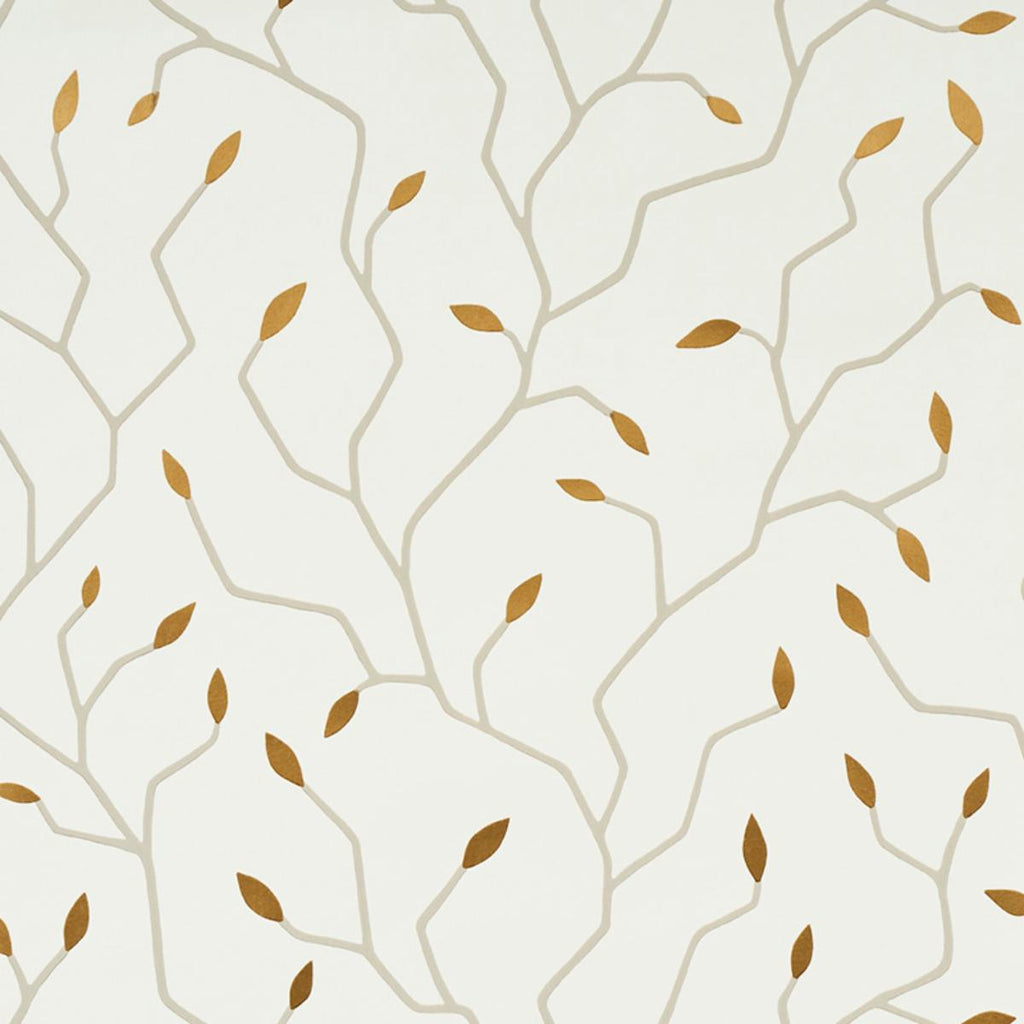 Cymbeline, Ivory