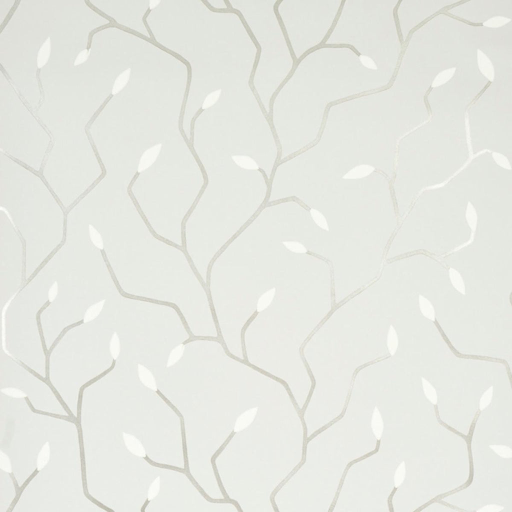 Cymbeline, Silver