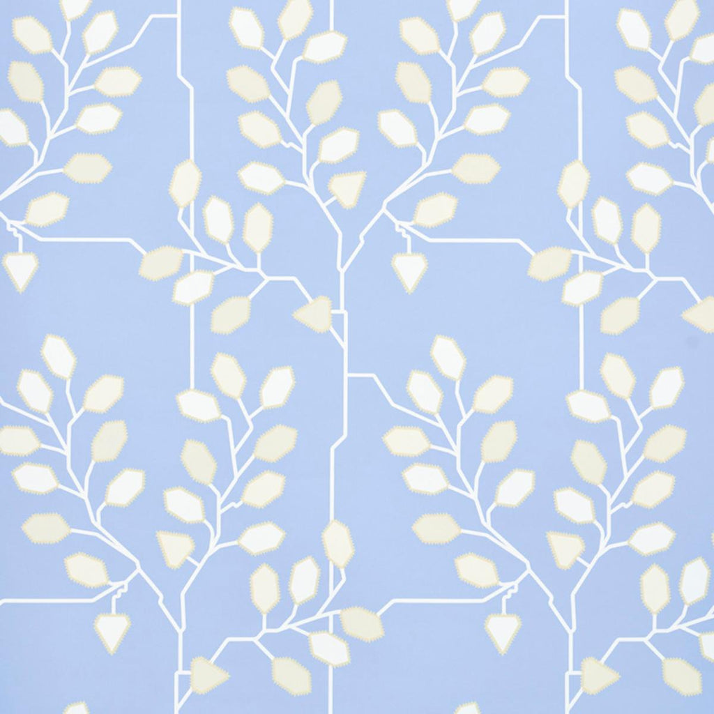 Tumble Weed, Bluebell