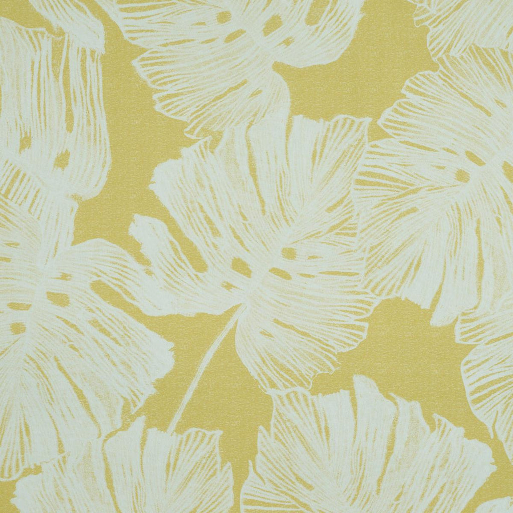 Del Coco, Yellow