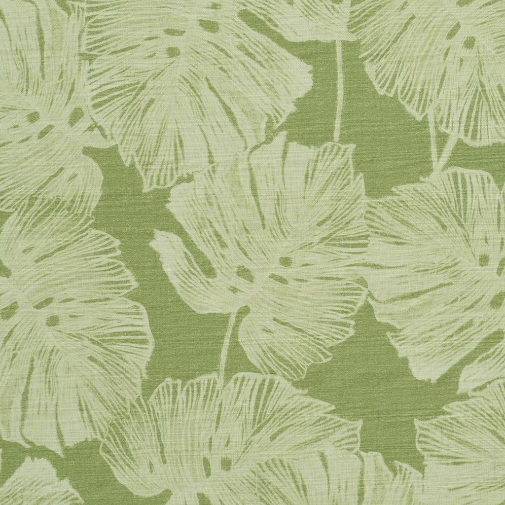Del Coco Sisal, Leaf