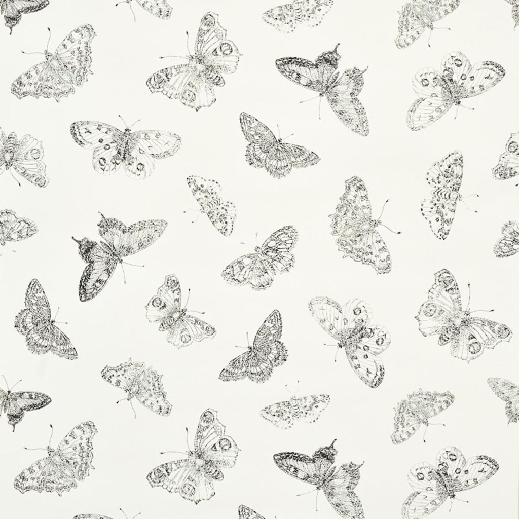 Burnell Butterfly, Ivory