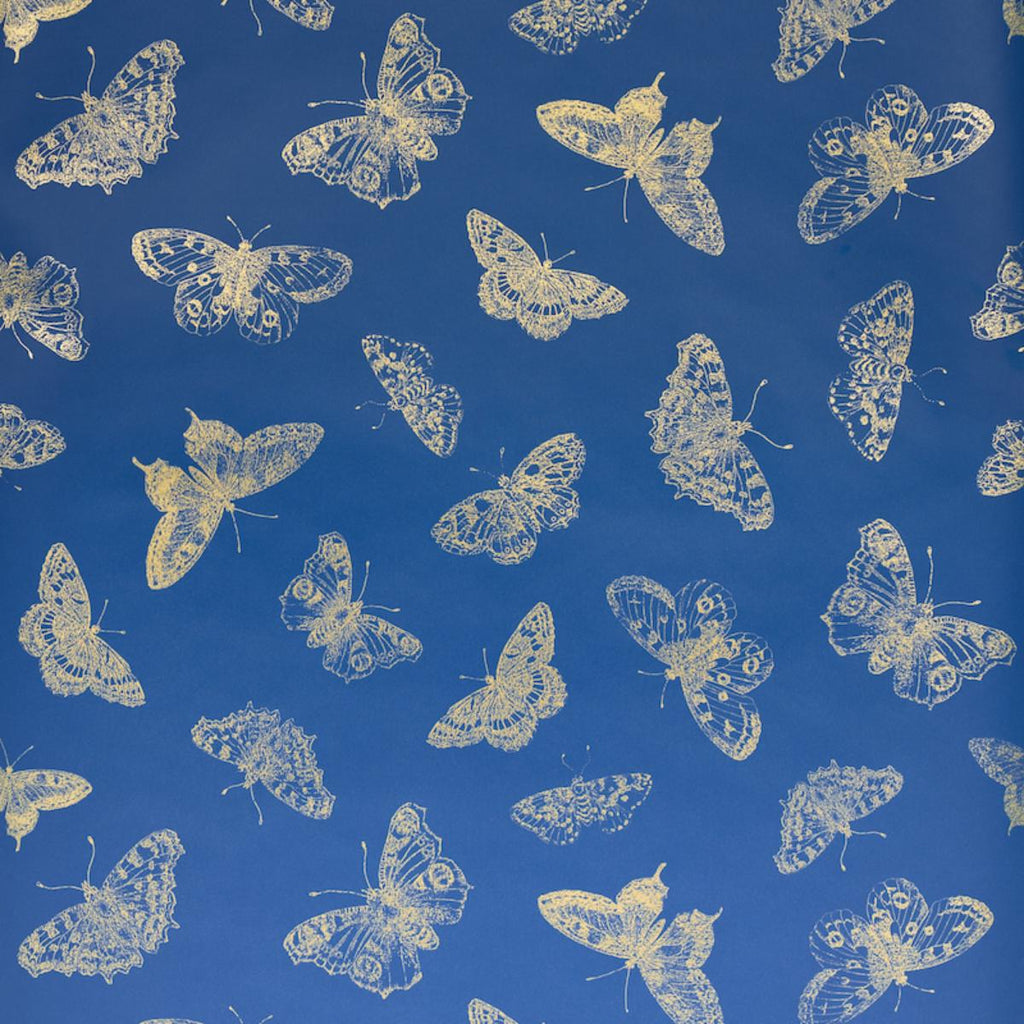 Burnell Butterfly, Cobalt Blue