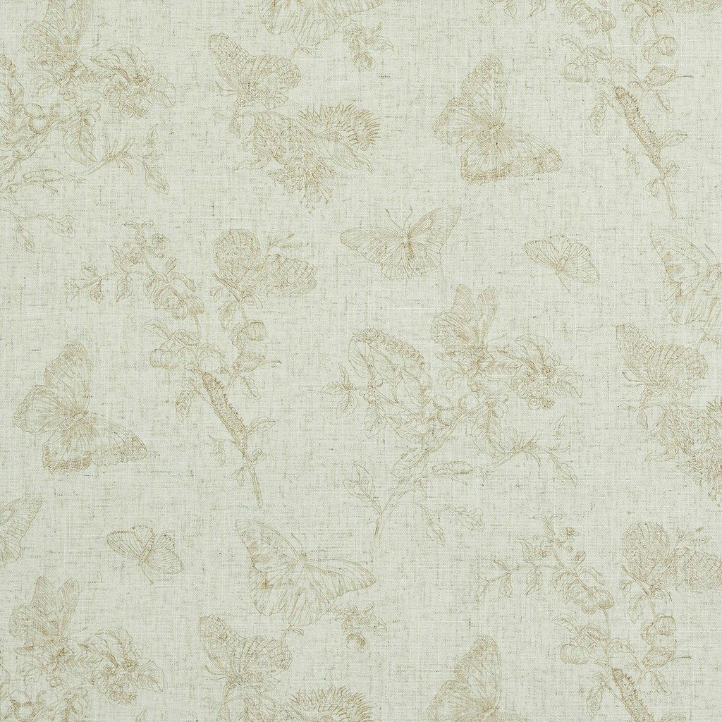 Baudin Butterfly Linen, Ivory