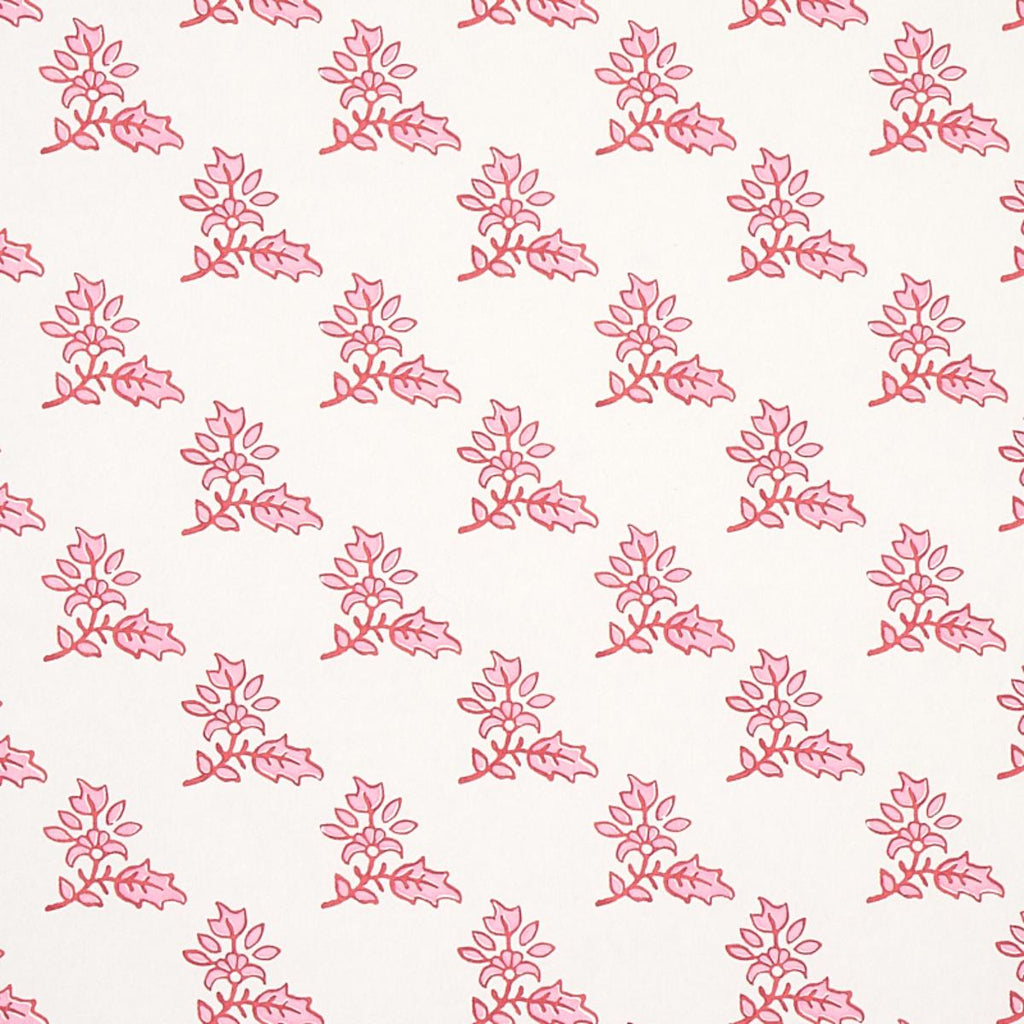 Torbay, Pink