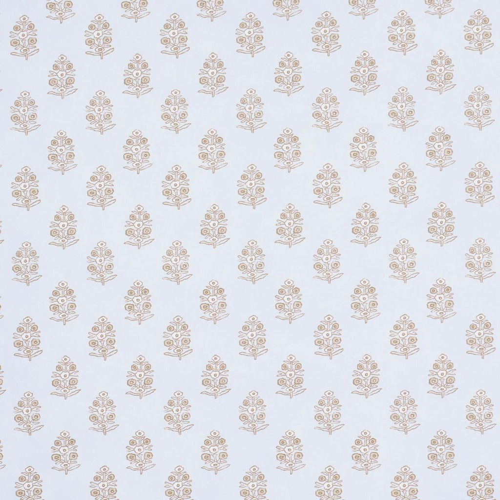 Aditi, Pale Blue