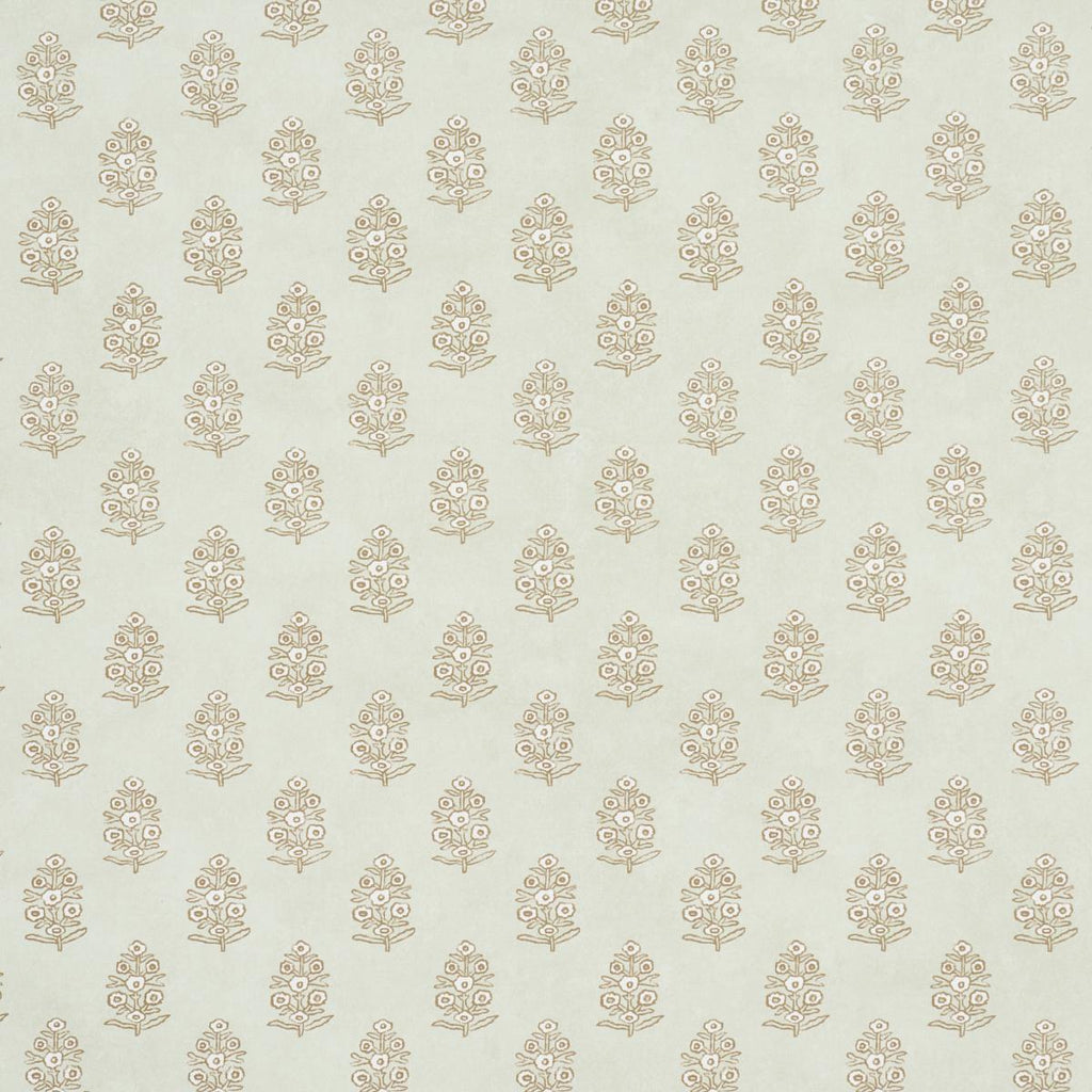 Aditi, Pale Green