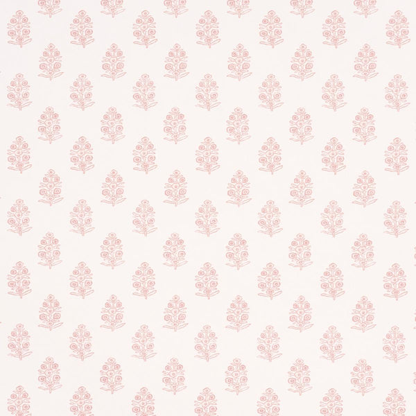 Aditi, Blush Wallcoverings | Schumacher