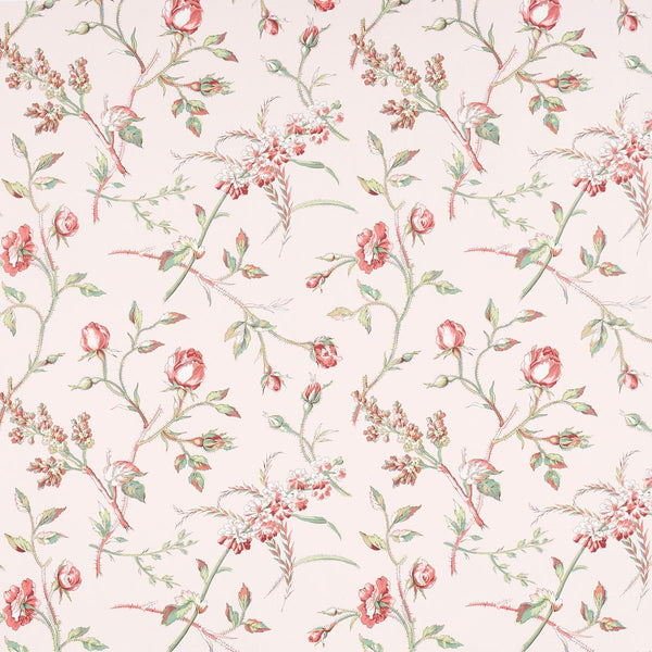 Beluze, Blush Wallcoverings | Schumacher