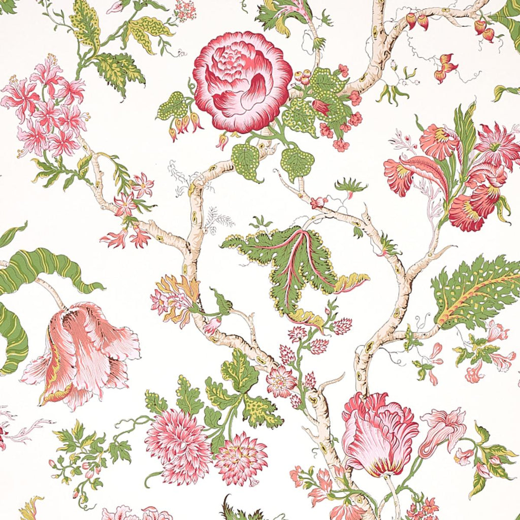 Josephine, Pink