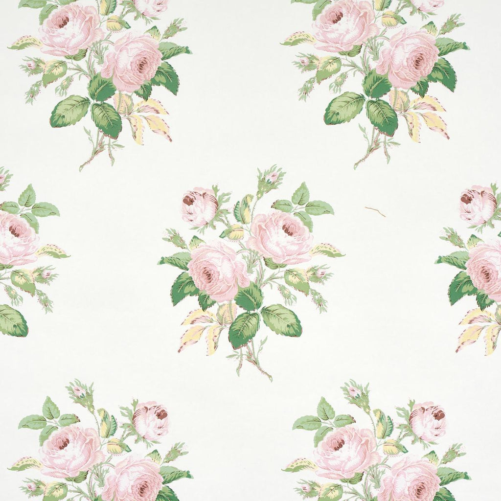 Loudon Rose, Blush