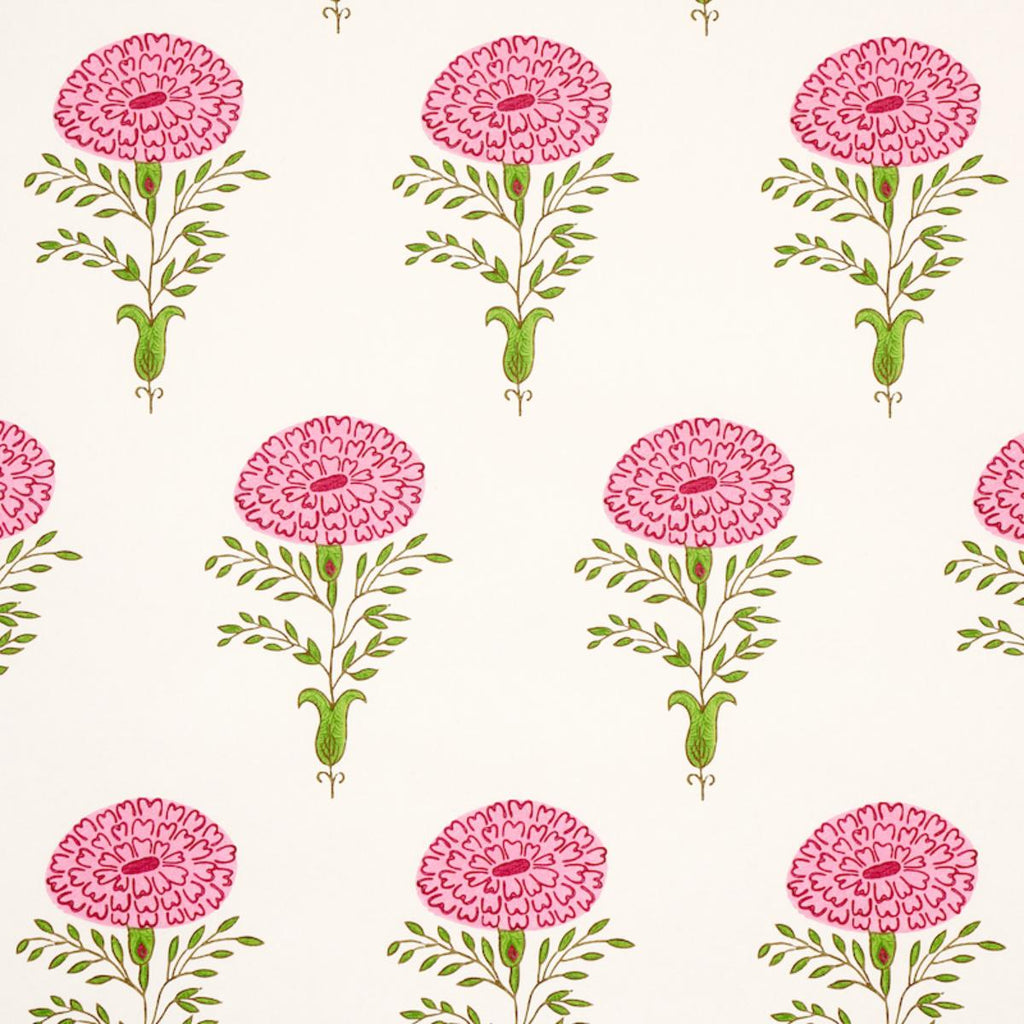 Marigold, Pink