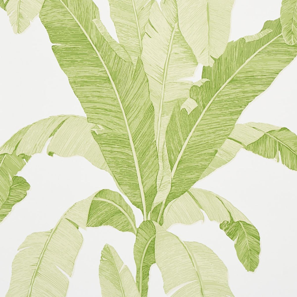 Erisimo, Leaf