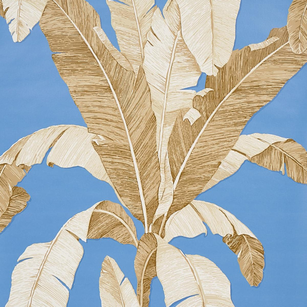 Erisimo, Blue