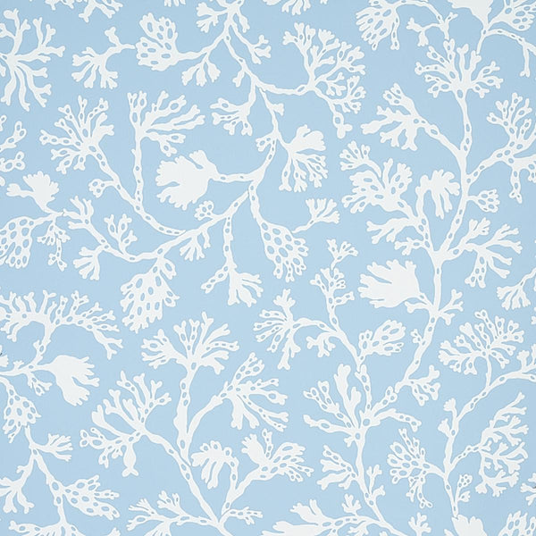 Anthoza, Sky Wallcoverings | Schumacher