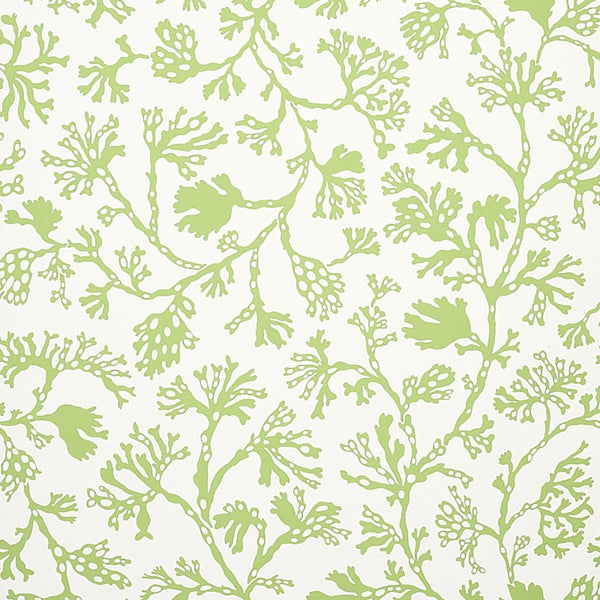 Anthoza, Green Wallcoverings | Schumacher