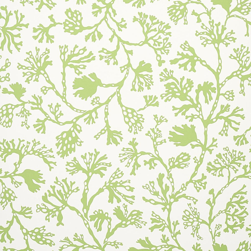 Anthoza, Green
