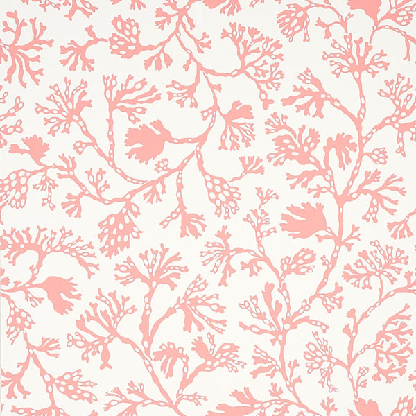 Anthoza, Coral Wallcoverings | Schumacher