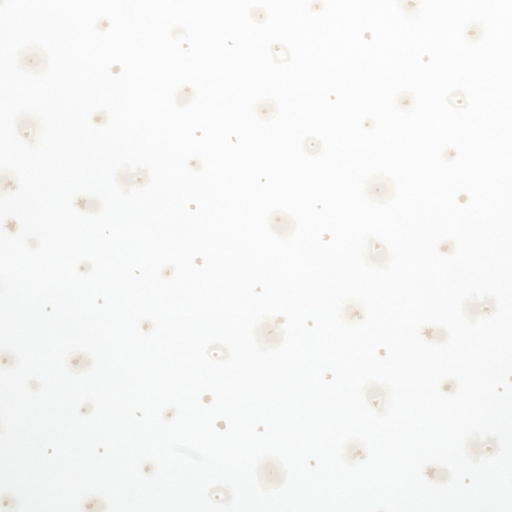 Stellar, Ivory