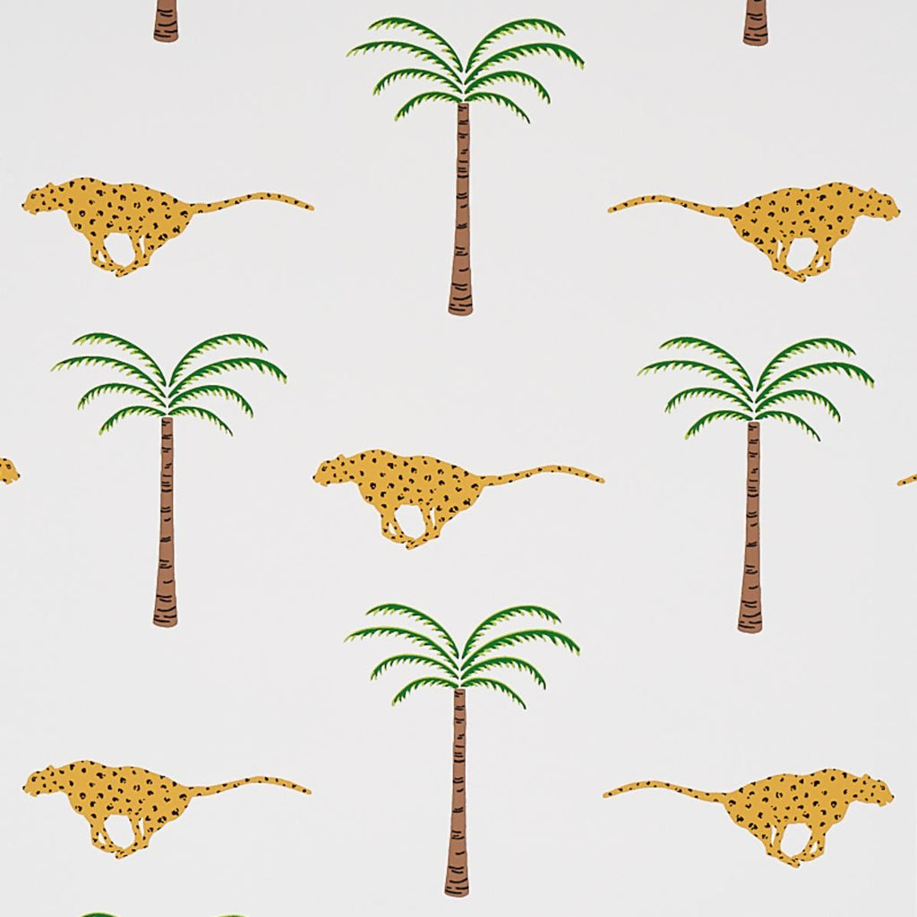 A Wild Desert Dream, Safari