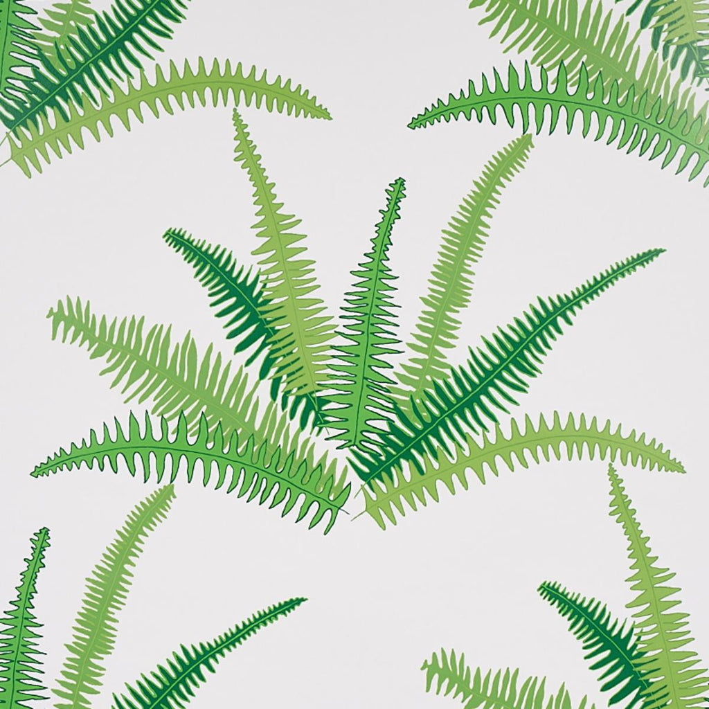 Canyon Ferns, Jungle