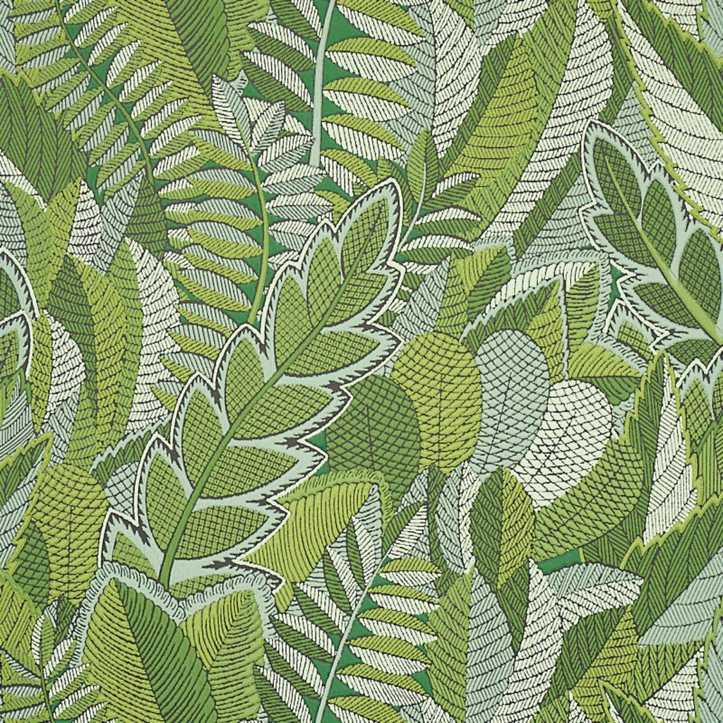 Japura Forest, Green